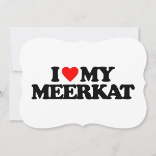 EU AMO MINHA MEERKAT