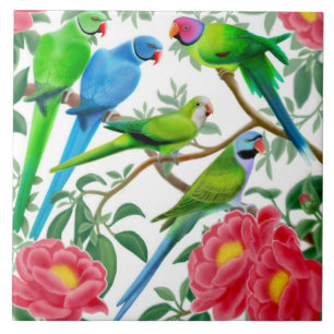 Eu amo o azulejo dos Parakeets