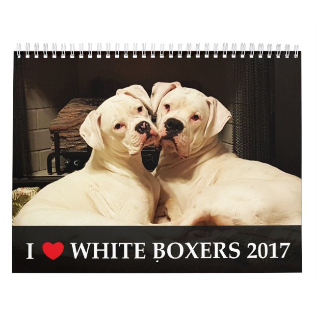 Eu amo o calendário branco dos pugilistas 2017 (Capa)