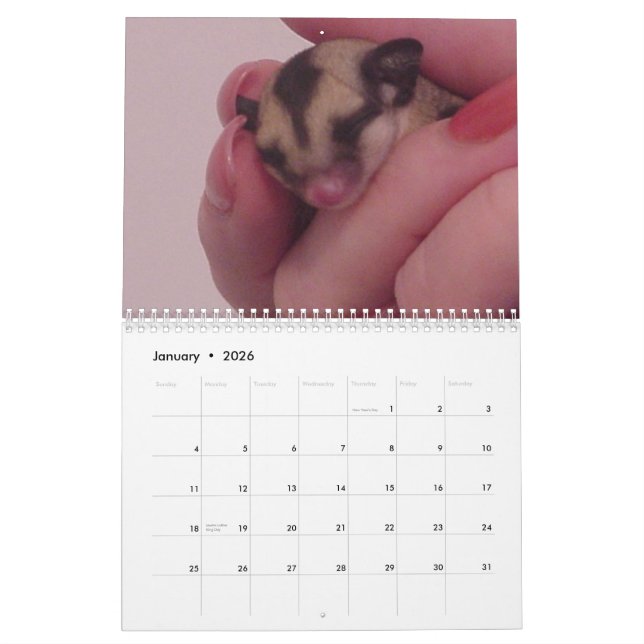 Eu amo o calendário dos planadores do açúcar (Jan 2026)