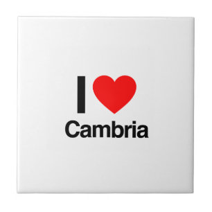 eu amo o cambria