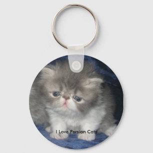 Eu amo o chaveiro dos gatos persas