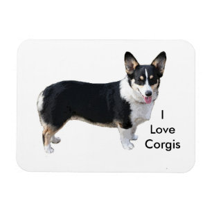 Eu amo o ímã dos corgis