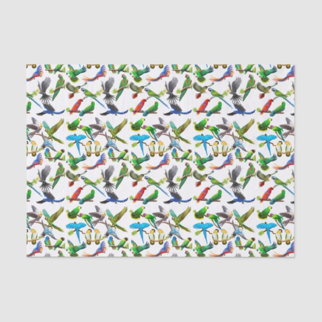 Eu amo o lenço de papel dos papagaios (Frente )