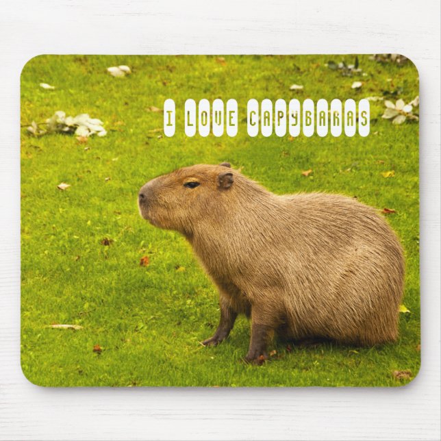Eu amo o Mousepad de Capivaras (Frente)