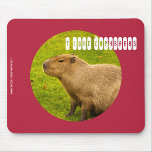 Eu amo o Mousepad de Capivaras