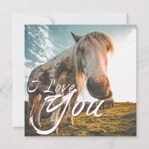 Eu amo você com cavalo olhando