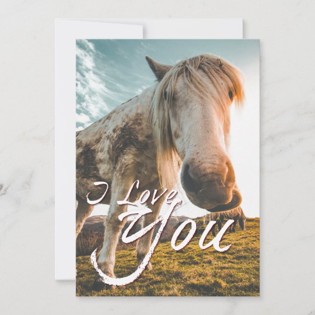 Eu amo você com cavalo olhando (Frente)