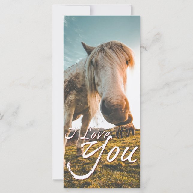 Eu amo você com cavalo olhando (Frente)