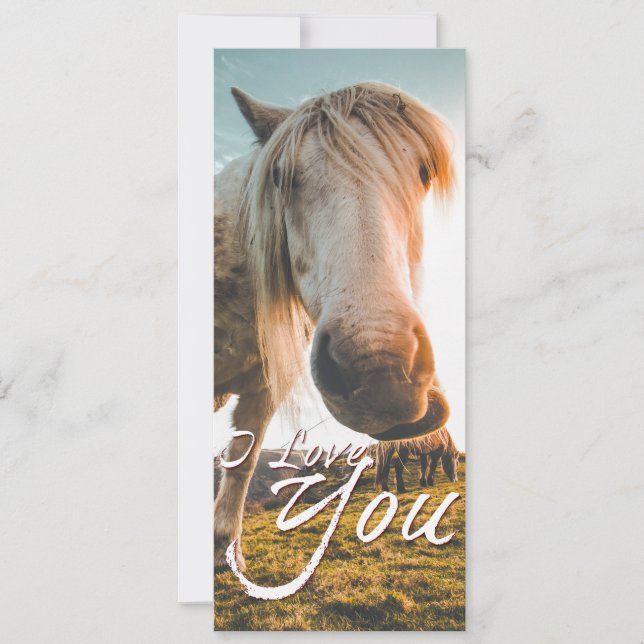 Eu amo você com cavalo olhando (Frente)