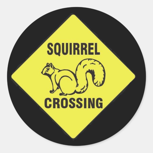 Eu chutei um adesivo de esquilo (Frente)