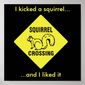 Eu chutei um poster de esquilo