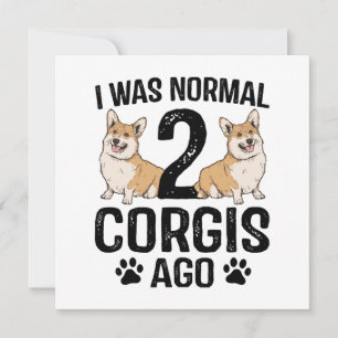 Eu Era Normal 2 Corgis Atrás Cachorro