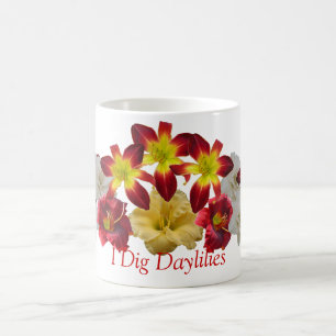 Eu escavo a caneca dos hemerocallis