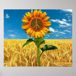 Eu Fico Com A Ucrânia Poster