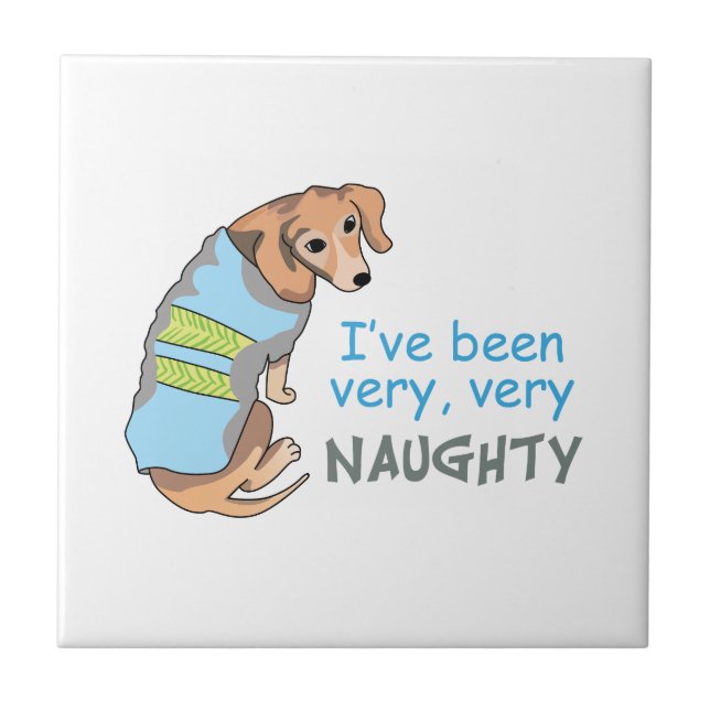 EU FUI NAUGHTY (Frente)