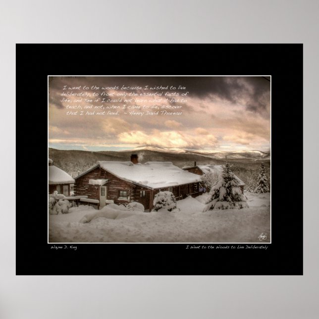 Eu fui para a floresta, Thoreau Poster (Frente)