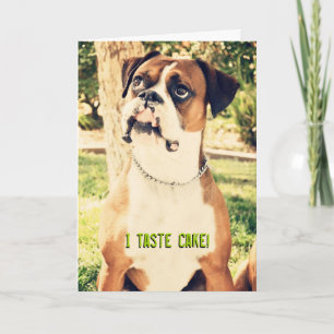 Eu Gosto De Bolo! Cartão de aniversário Boxer