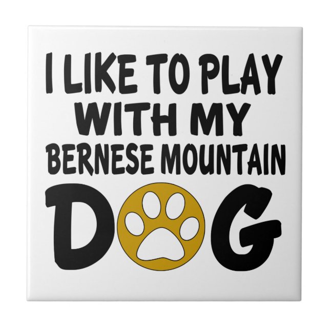 Eu gosto de jogar com meu cão de montanha de (Frente)
