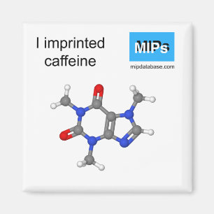 Eu imprimi bola de imã de cafeína e pau