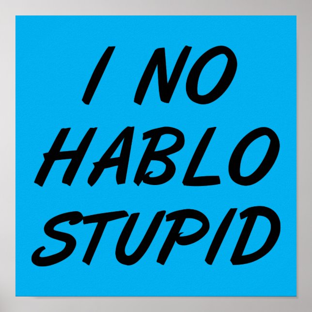 Eu Não Falo Idiota Placa de Poster Divertida (Frente)
