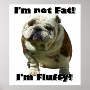 Eu não sou poster gordo do buldogue