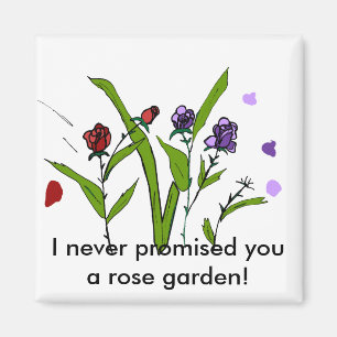 Eu nunca prometi a você um imã de rosa jardim