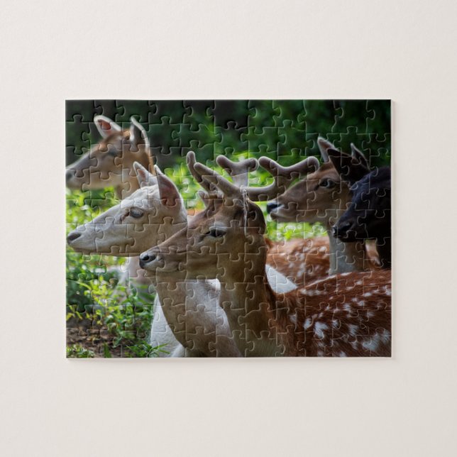 Eu ouvi Quebra-cabeça (Horizontal)