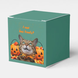 Eu Posso Ter Caixa de Favor de Gato de Tratamento