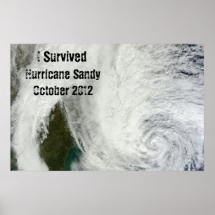 Eu sobrevivi ao poster de Sandy do furacão