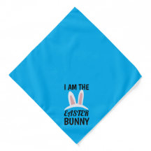 Eu sou a bandana do coelho da Páscoa