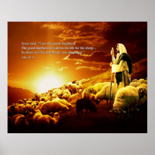 "Eu sou o bom pastor. Poster do 10:11 de John