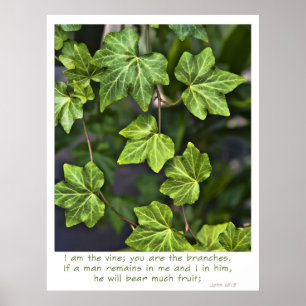 Eu sou o Poster John 15:5 citação