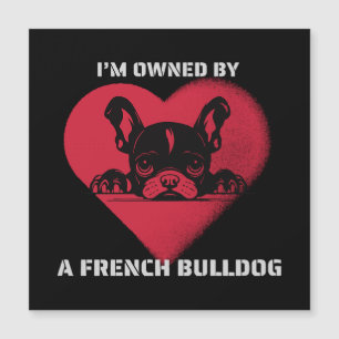 Eu sou possuído por um Bulldog Francês