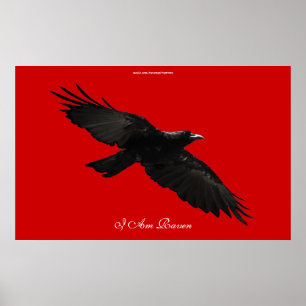 EU SOU poster preto de voo da arte do corvo do