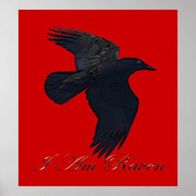 Eu sou RAVEN II voando Poster de Arte Raven (Frente)
