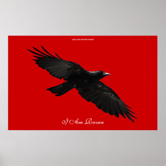 Eu sou RAVEN III voando Poster de Arte Negra Negra