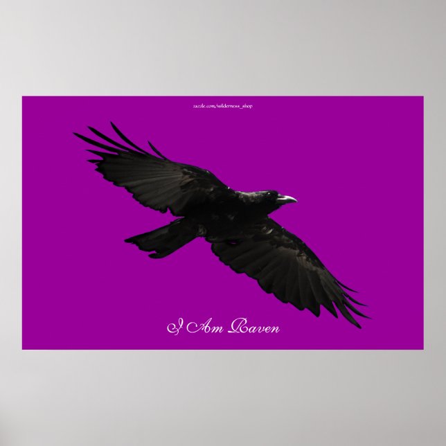 Eu sou RAVEN III voando Poster de Arte Negra Negra (Frente)