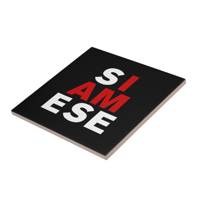 EU SOU SIAMESE (Lateral)