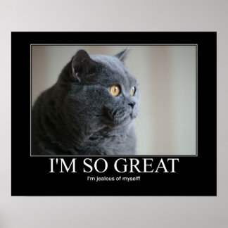 Eu sou tão Excelente de gato Poster