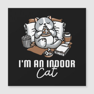 Eu sou um gato indoor - gato introvertido