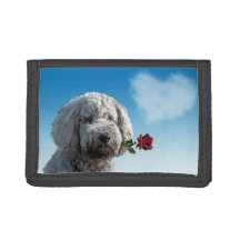 Eu Te Adorei Foto Wallet