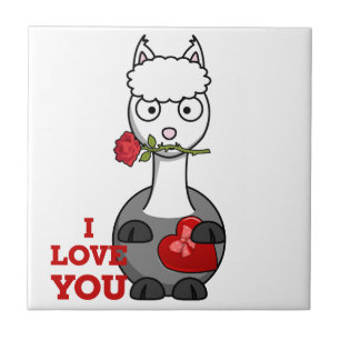 eu te amo alpaca