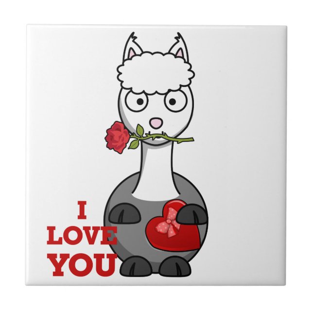eu te amo alpaca (Frente)