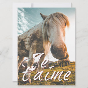 Eu te amo com cavalo olhado