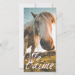Eu te amo com cavalo olhado