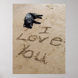 Eu te amo poster da praia e do cão enorme