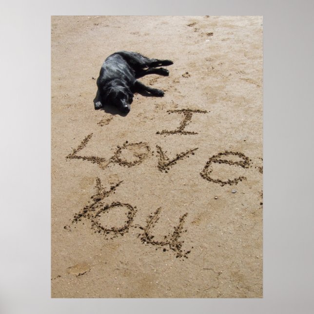 Eu te amo praia e poster de cachorro enorme (Frente)