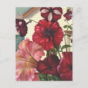 Eu tenho-nos movi flores do petúnia do anúncio em