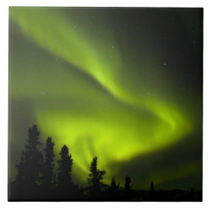EUA, Alasca, Chena Hot Springs. Aurora Boreal 2